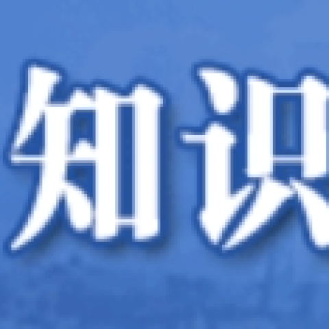 知识产权备案查询